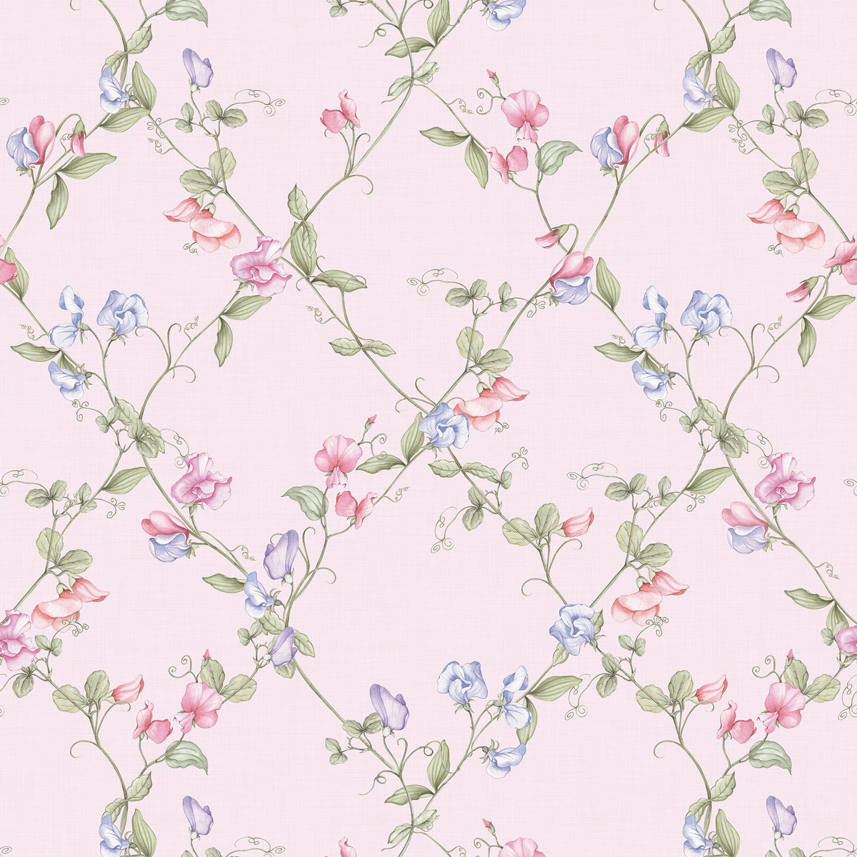 Sweet Pea Wallpaper in Pinks and Lilacs on Pastel Pink – Lucie Annabel