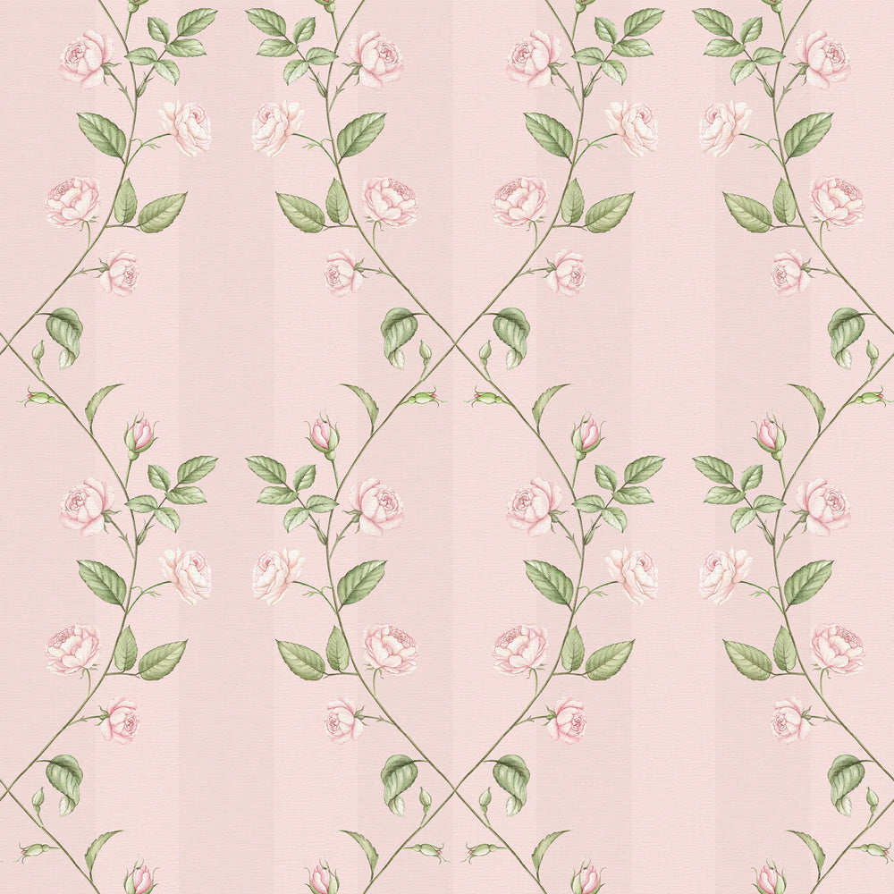 Ascending Rose Wallpaper in Beautiful Blush