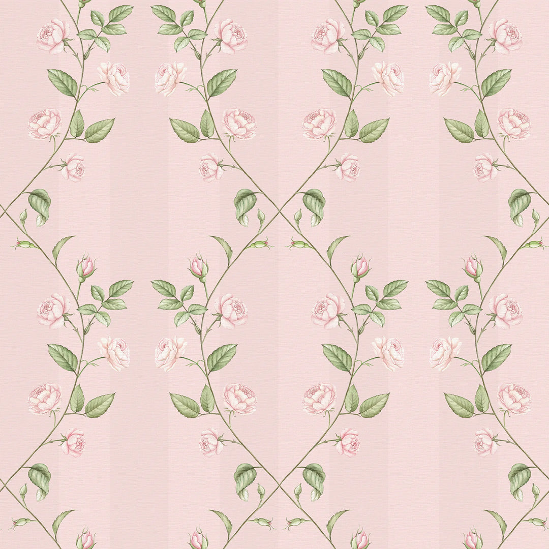 Ascending Rose Wallpaper in Beautiful Blush