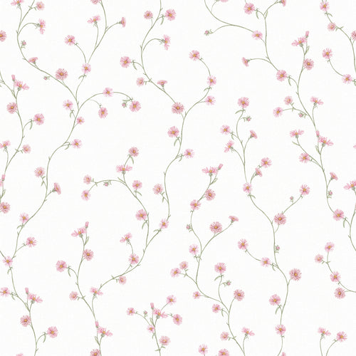 Aster Wallpaper in Soft Pink