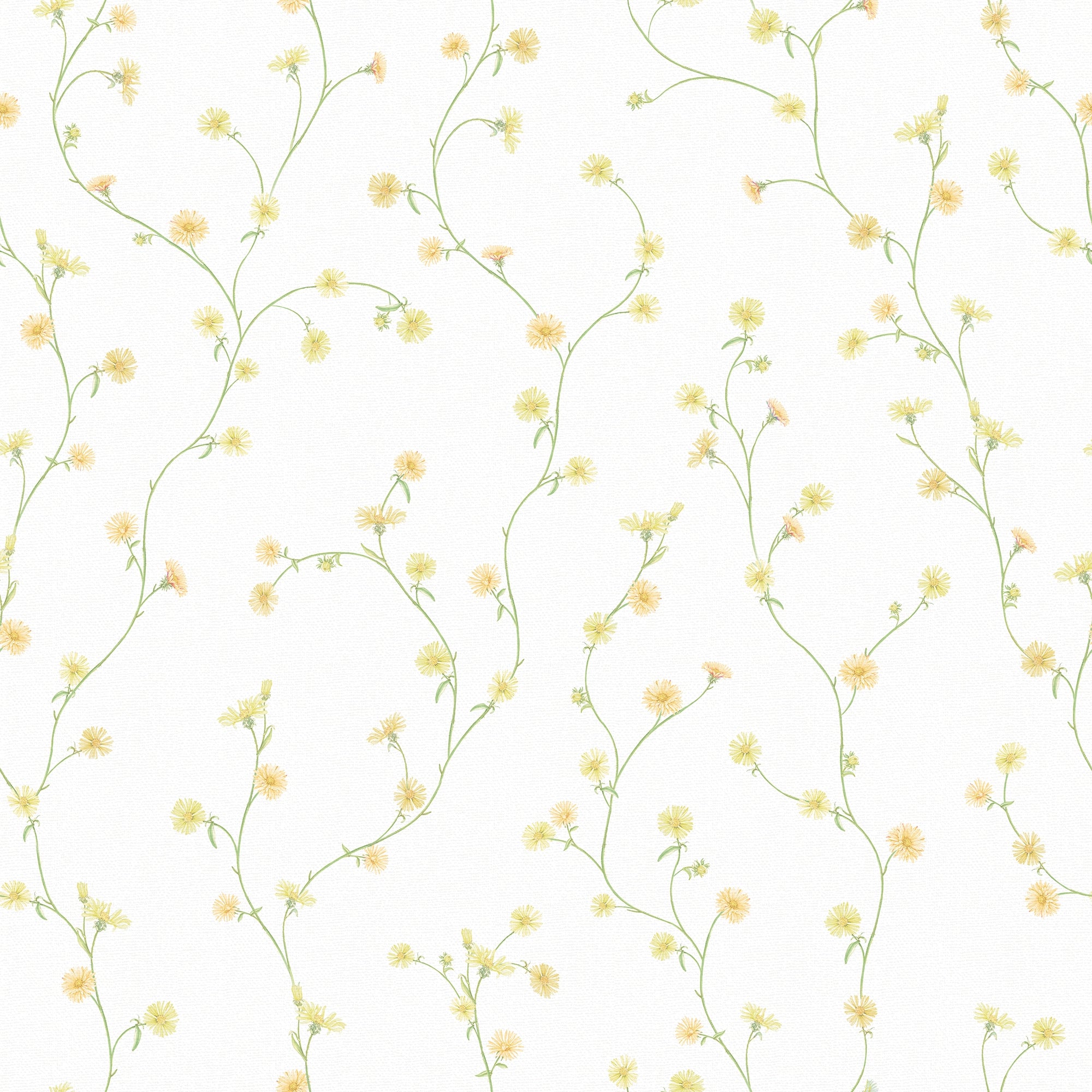 Aster Wallpaper in Soft Yellow and Orange