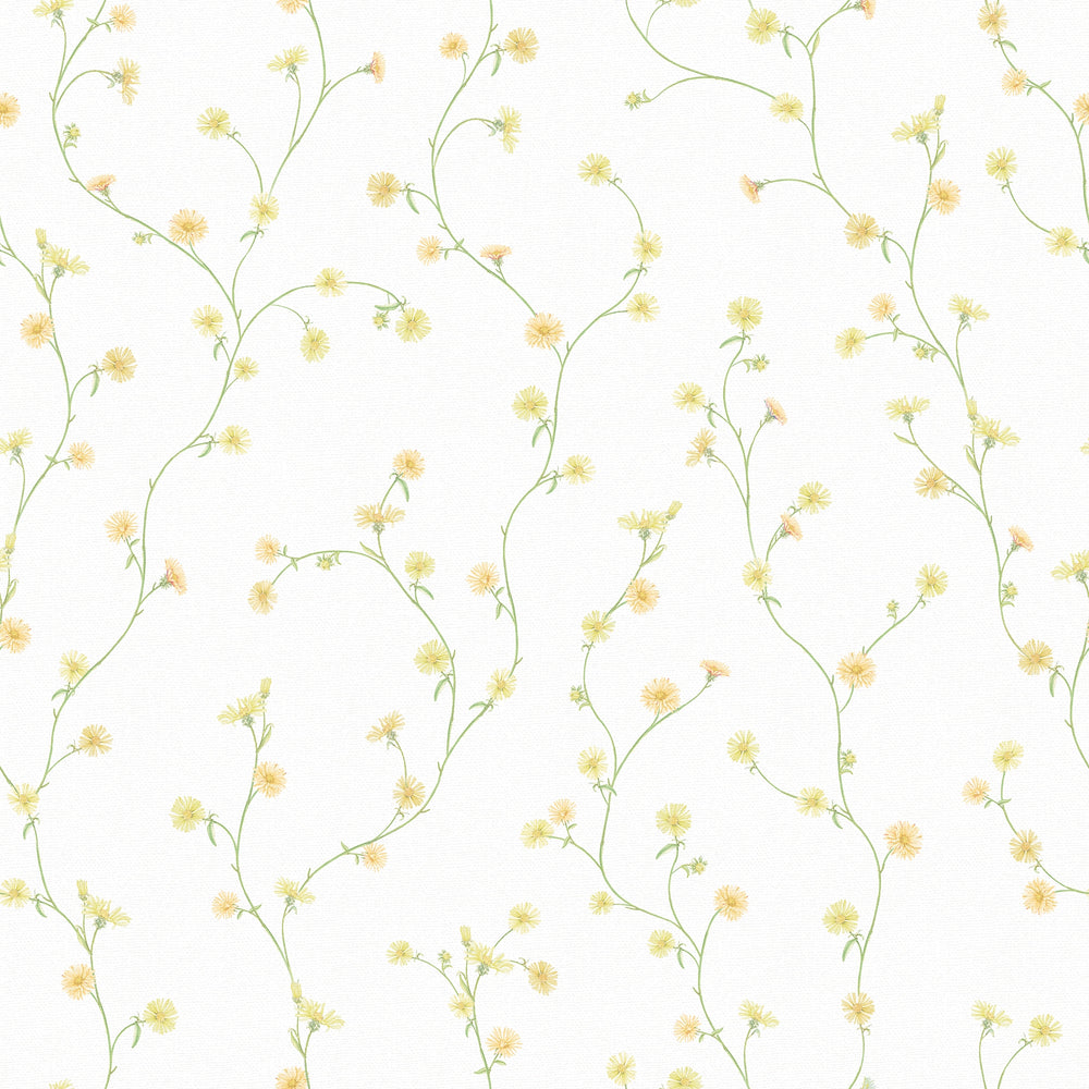 Aster Wallpaper in Soft Yellow and Orange