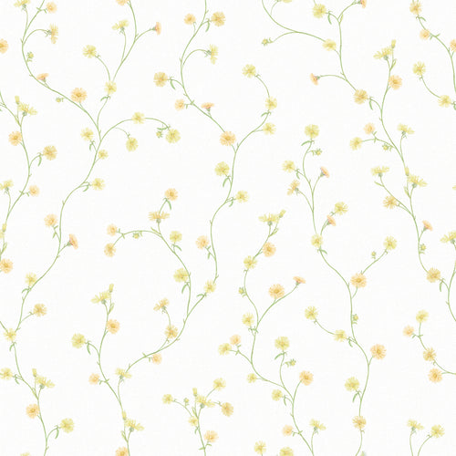 Aster Wallpaper in Soft Yellow and Orange
