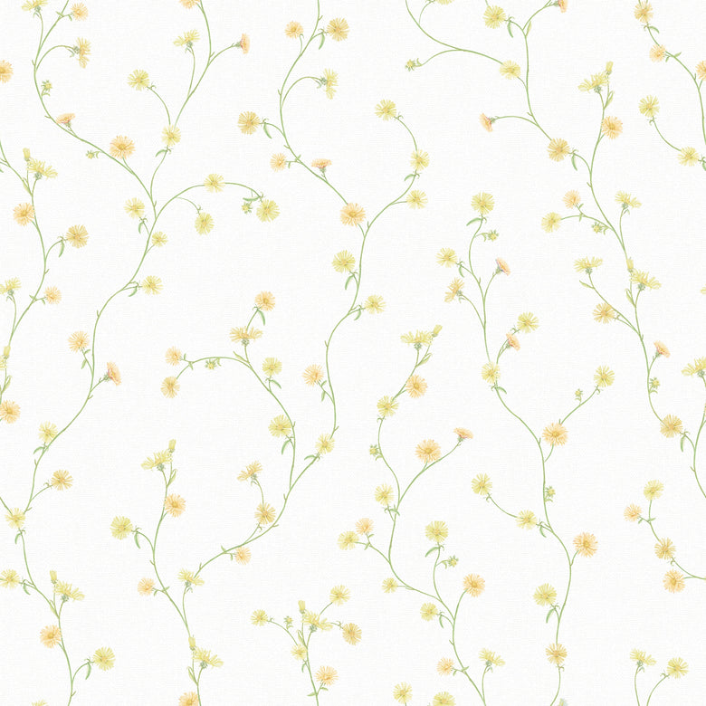 Aster Wallpaper in Soft Yellow and Orange