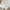 files/BlossomingBirdsong_PowderBlue_LAN100389_Roomset2_WEB.webp