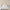 files/BlossomingBirdsong_VintageCream_LAN100388_Roomset1_WEB.webp