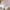 files/BranchesandBirdsong_Rose_LAN100405_Roomset1_WEB.webp