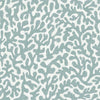 Coral Cove Wallpaper in Teal