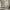files/DitsyHawthornStripe_Cream_LAN100418_Roomset.webp