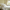 files/DitsyHawthornStripe_Lemon_LAN100422_Roomset.webp