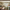 files/DitsyHawthornStripe_Sage_LAN100421_Roomset.webp