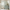 files/Ditsy_Hawthorn_Stripe_Duck_Egg_LAN100419_Roomset.webp