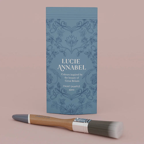 Sample of Dusty Pink Paint - 60ML