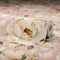 Enchanted Roses Wallpaper in Blush on Dusky Pink