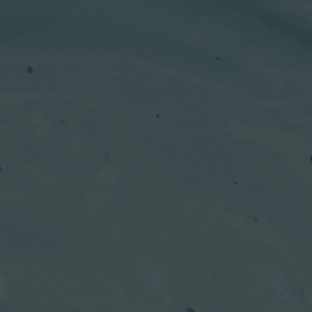 Eurasian Teal Eggshell Paint - 1L