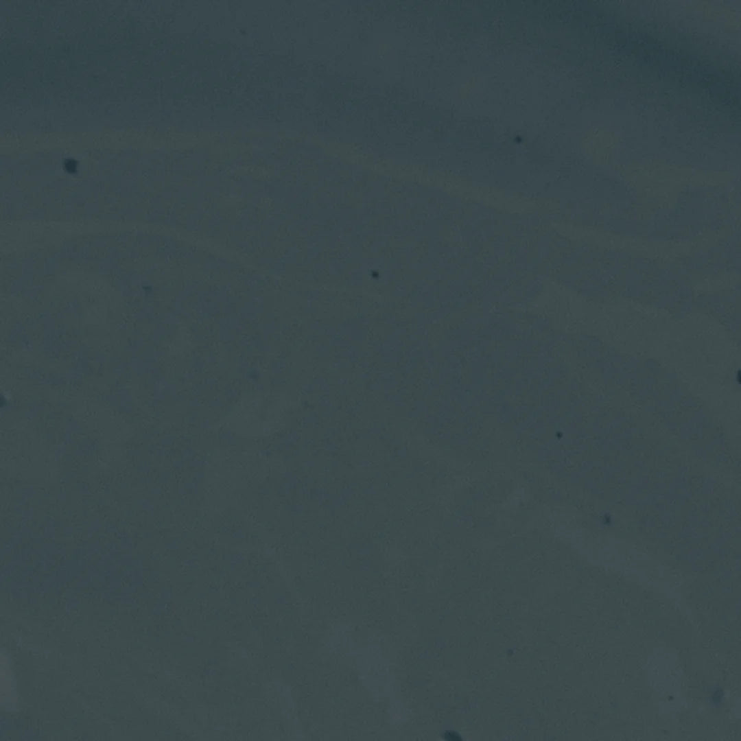 Eurasian Teal Eggshell Paint - 1L