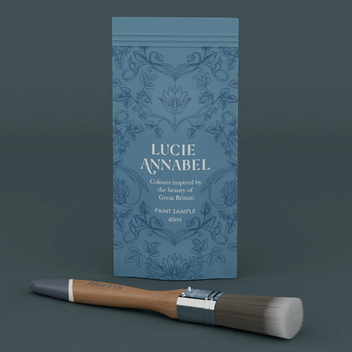 Sample of Eurasian Teal Paint - 60ML