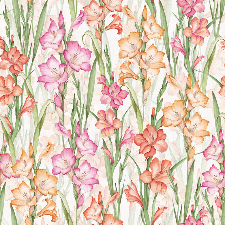 Gladioli Wallpaper in Summer Pinks and Oranges