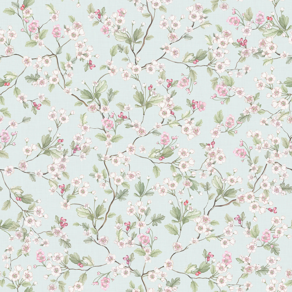 Hawthorn Blossom Wallpaper in Duck Egg