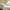files/HawthornBlossom_Lemon_LAN100425_Roomset.webp