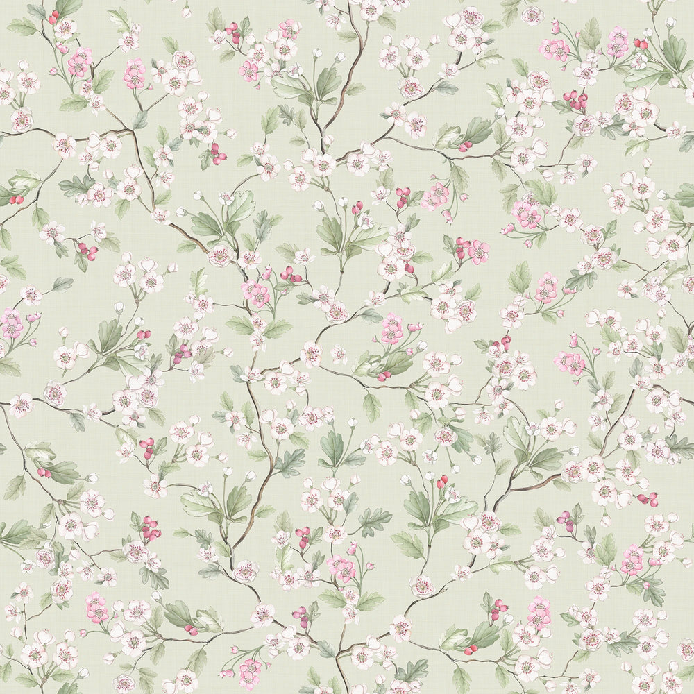 Hawthorn Blossom Wallpaper in Sage