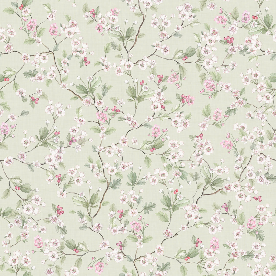 Sample of Hawthorn Blossom Wallpaper in Sage