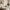 files/HawthornBlossom_SoftPink_LAN100426_Roomsetcopy.webp