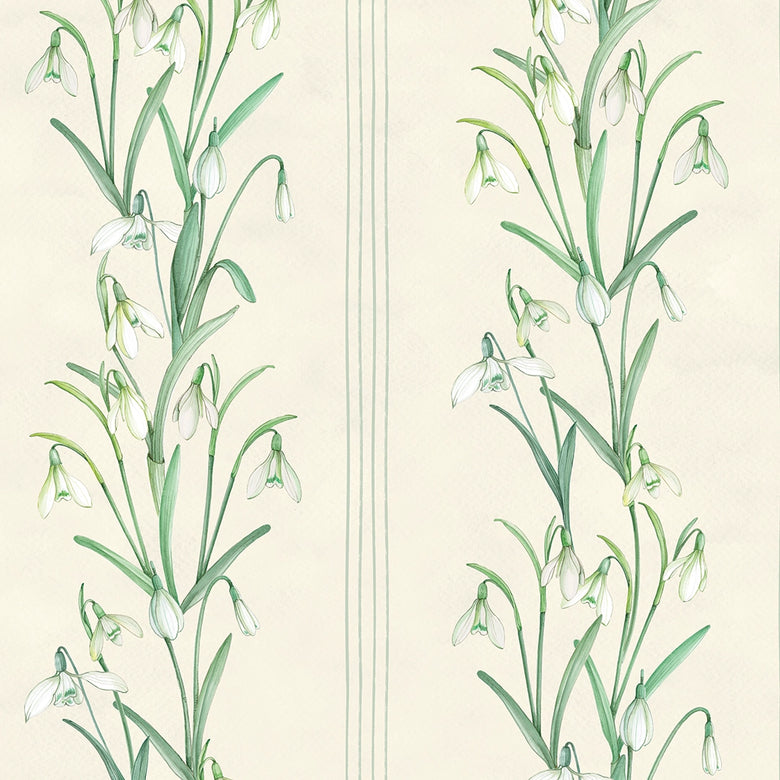 Sample of Snowdrop Wallpaper in Cream