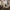 files/LAN100034_Wild_Stocks_China_Blue_Roomset_V2.webp