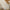 files/LAN100054_Sweet_Magnolia_Plain_in_Linen_Cream_3000_Room_Close.webp
