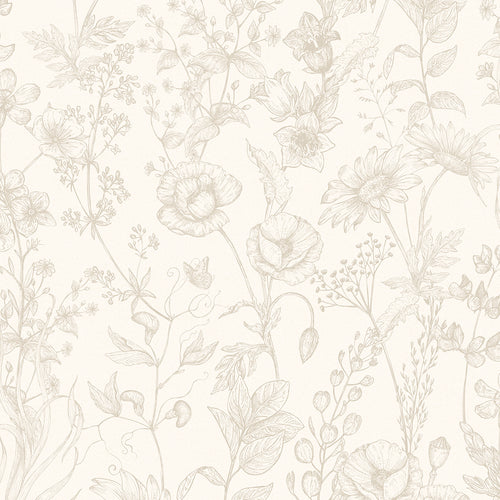 Sketched Meadow Wallpaper in Stone on Windsor Cream