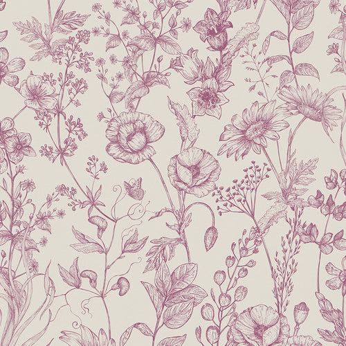 Sketched Meadow Wallpaper in Berry on Oatmeal