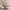 files/LAN100409_FOTM_Tulip_Lg_ROOM_1_c6a43805-24a2-424d-916f-4251e741bd20.webp