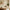 files/LAN100410_FOTM_Tulip_Lg_ROOM_1.webp