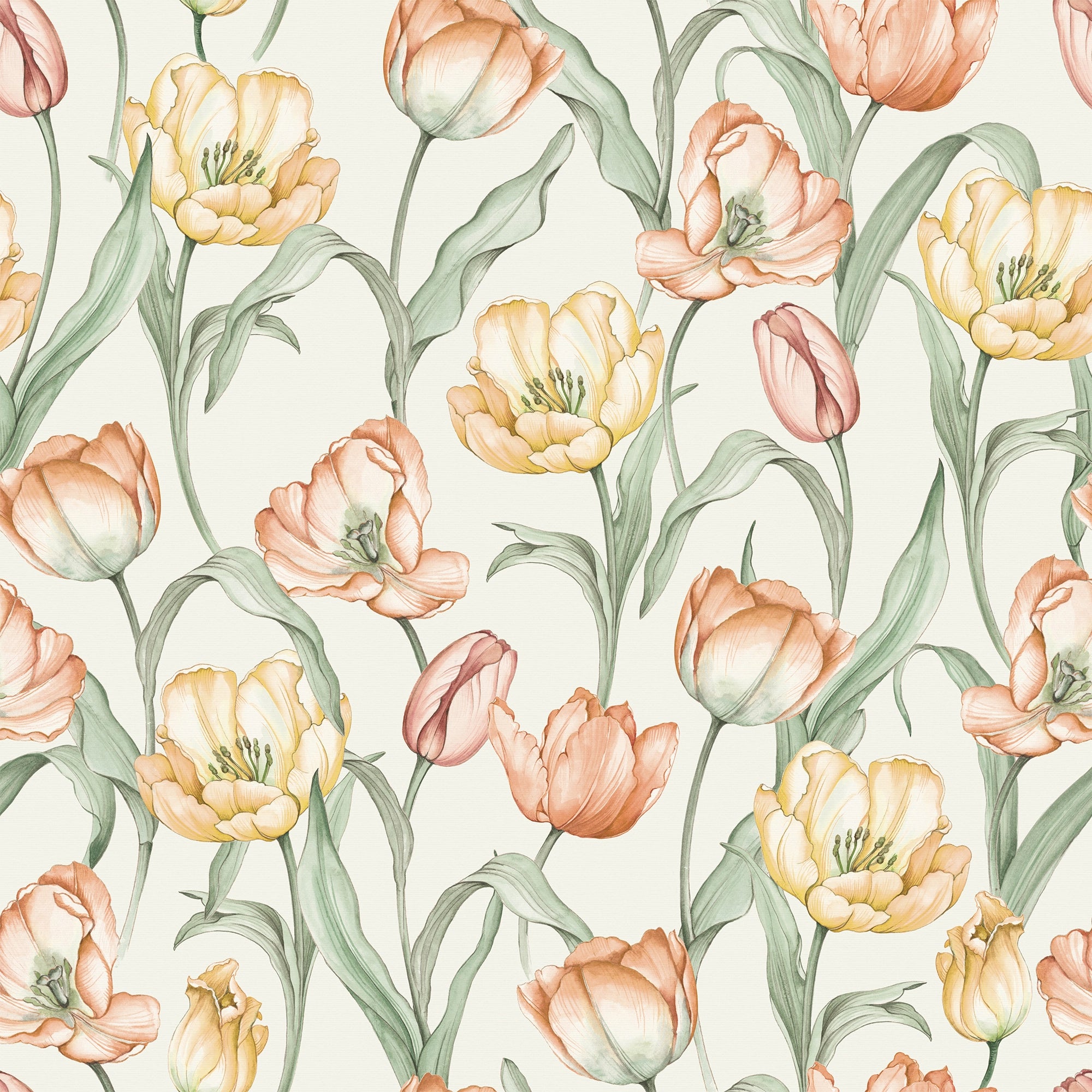 Tulip Wallpaper in Orange and Yellow on Vintage Cream