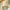 files/LAN100413_FOTM_Tulip_Sml_ROOM_1.webp