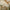 files/LAN100414_FOTM_Tulip_Sml_ROOM_1.webp