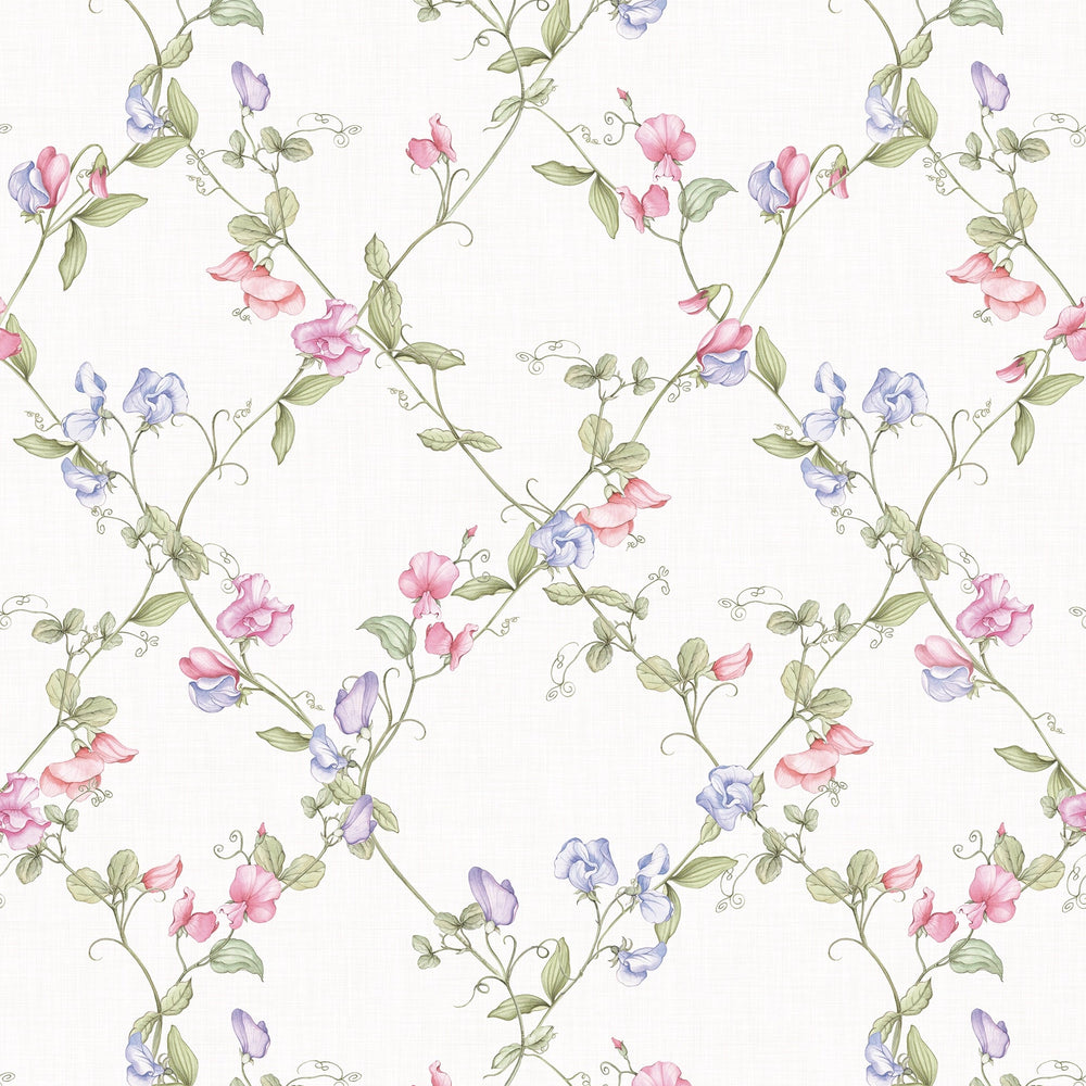 Sweet Pea Wallpaper in Pinks and Lilacs on Vintage Cream