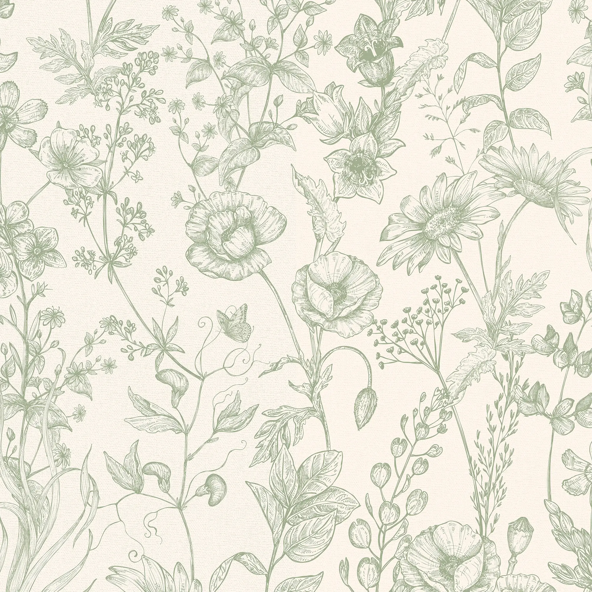 Sketched Meadow Wallpaper in Sage on Windsor Cream