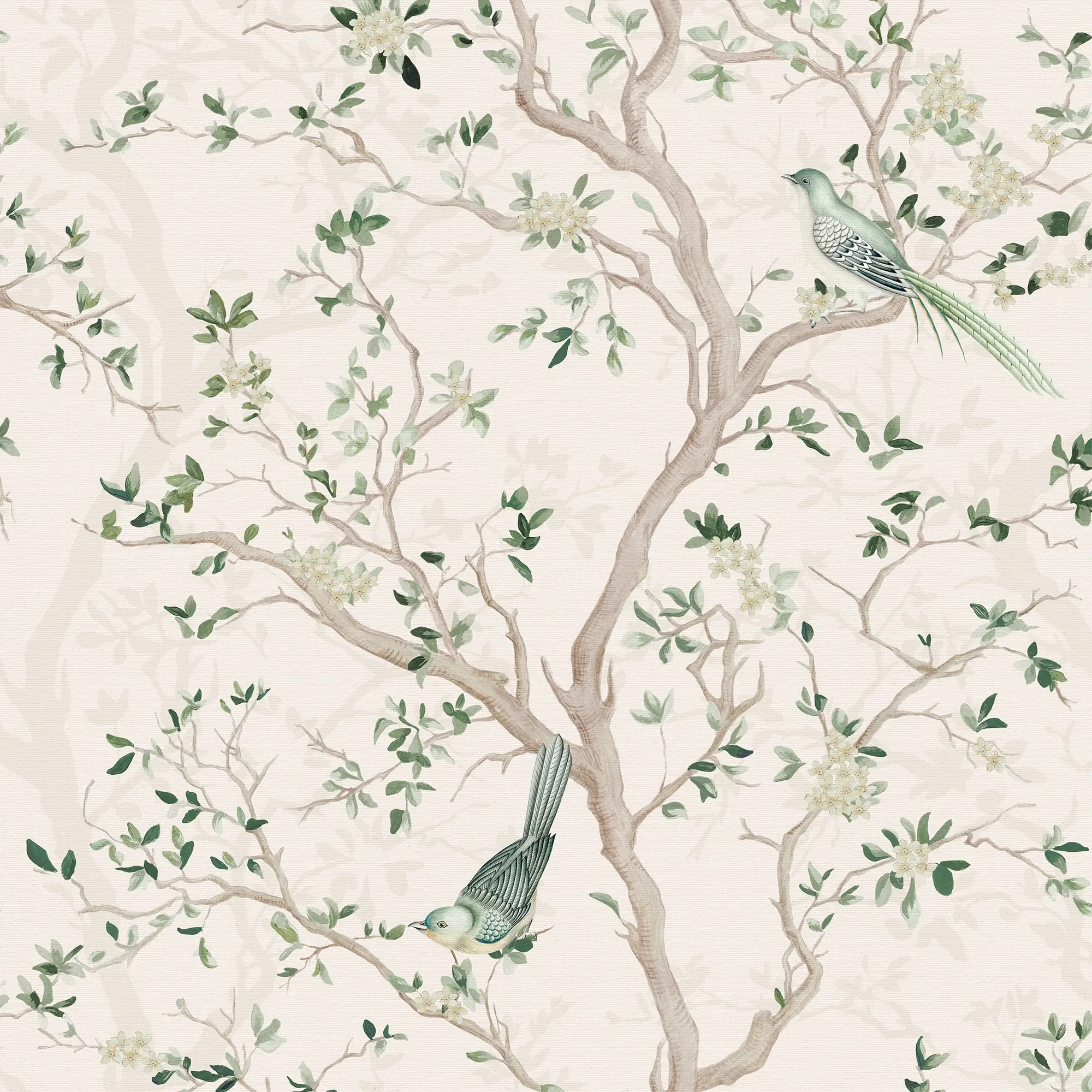 Branches and Birdsong Wallpaper in Sage on Vintage Cream