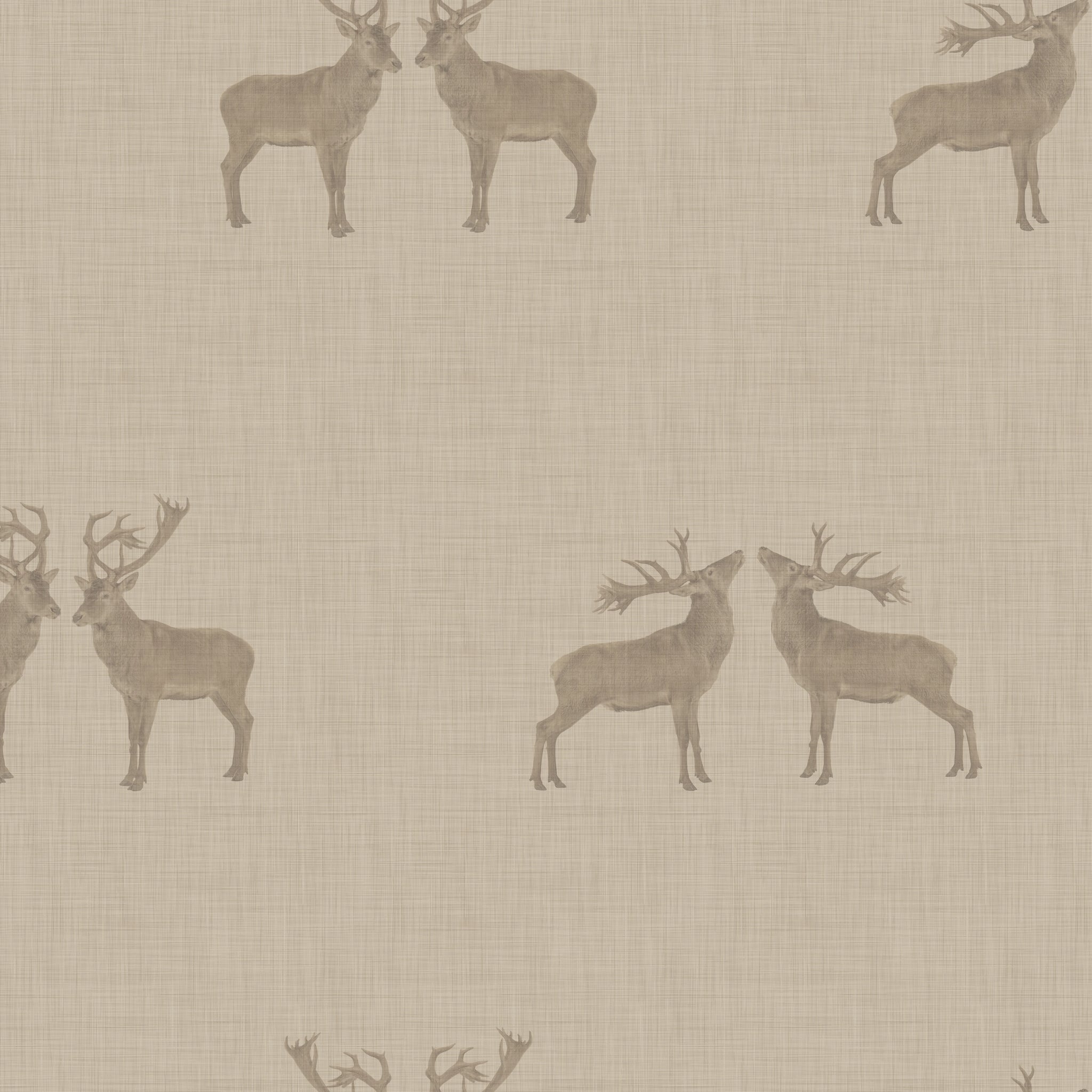 Majestic Stag Wallpaper in Brow Tine Beige