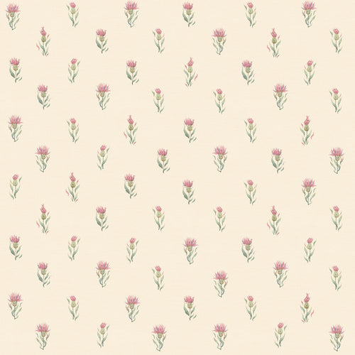 Wee Thistle Wallpaper in Soft Pink on Vintage Cream