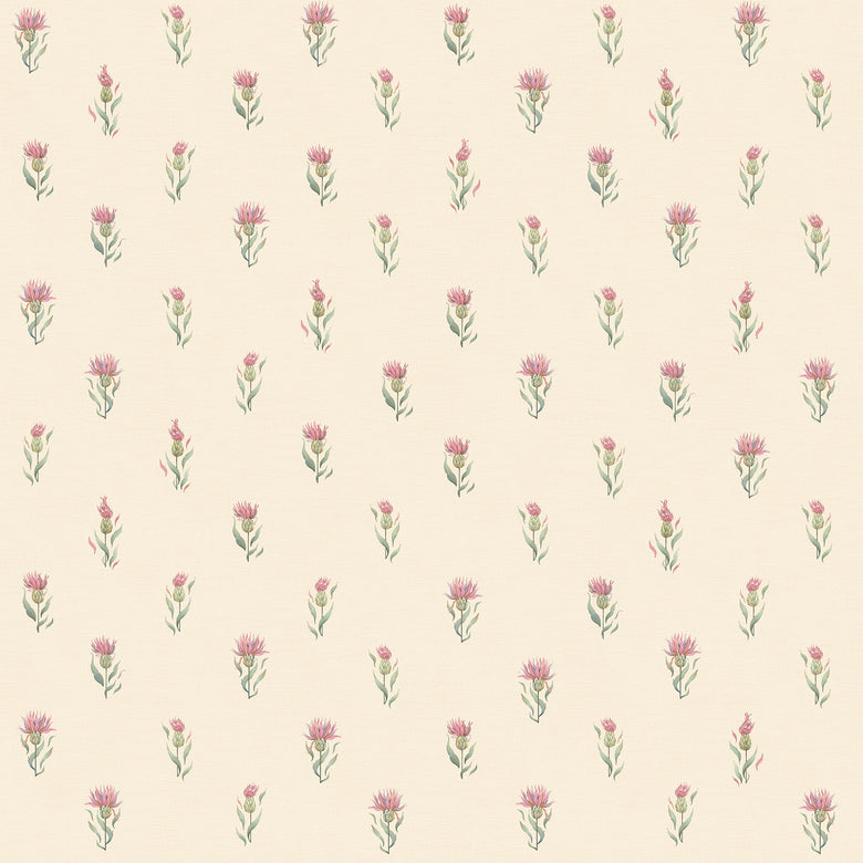 Wee Thistle Wallpaper in Soft Pink on Vintage Cream
