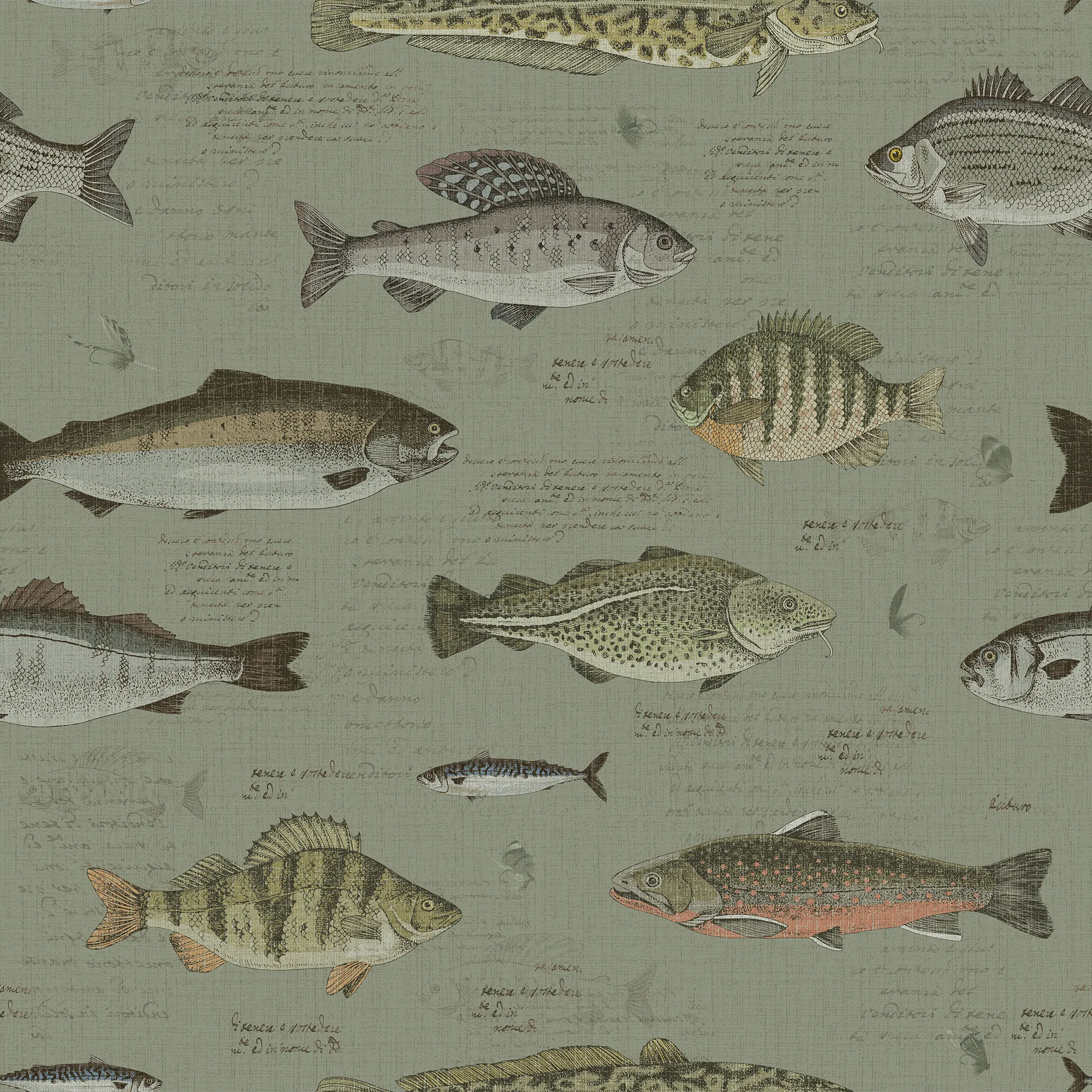 Wallpaper pattern of various fish illustrations on a green background.