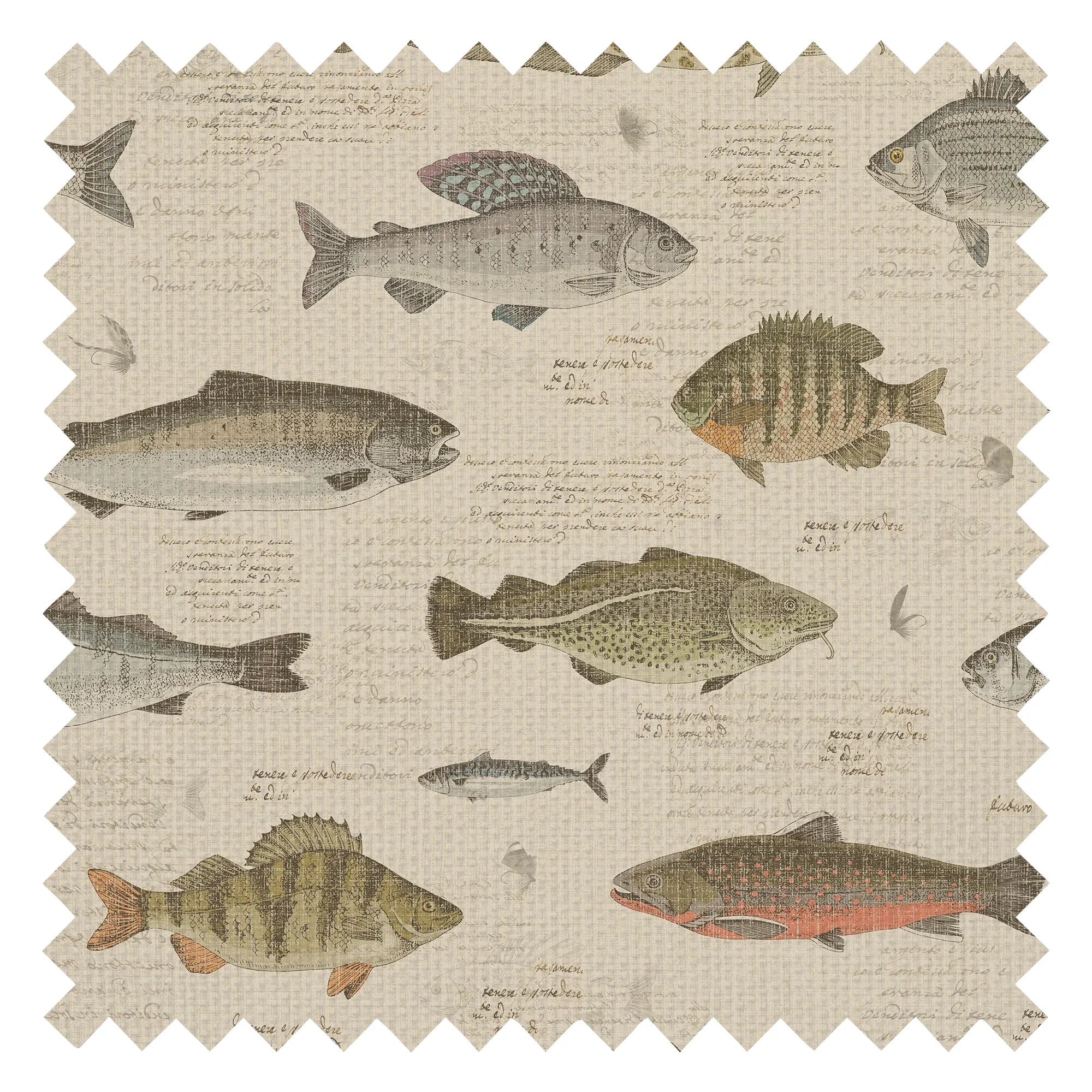 Compendium of Scales Fabric in Cream