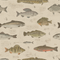 Compendium of Scales Wallpaper in Cream