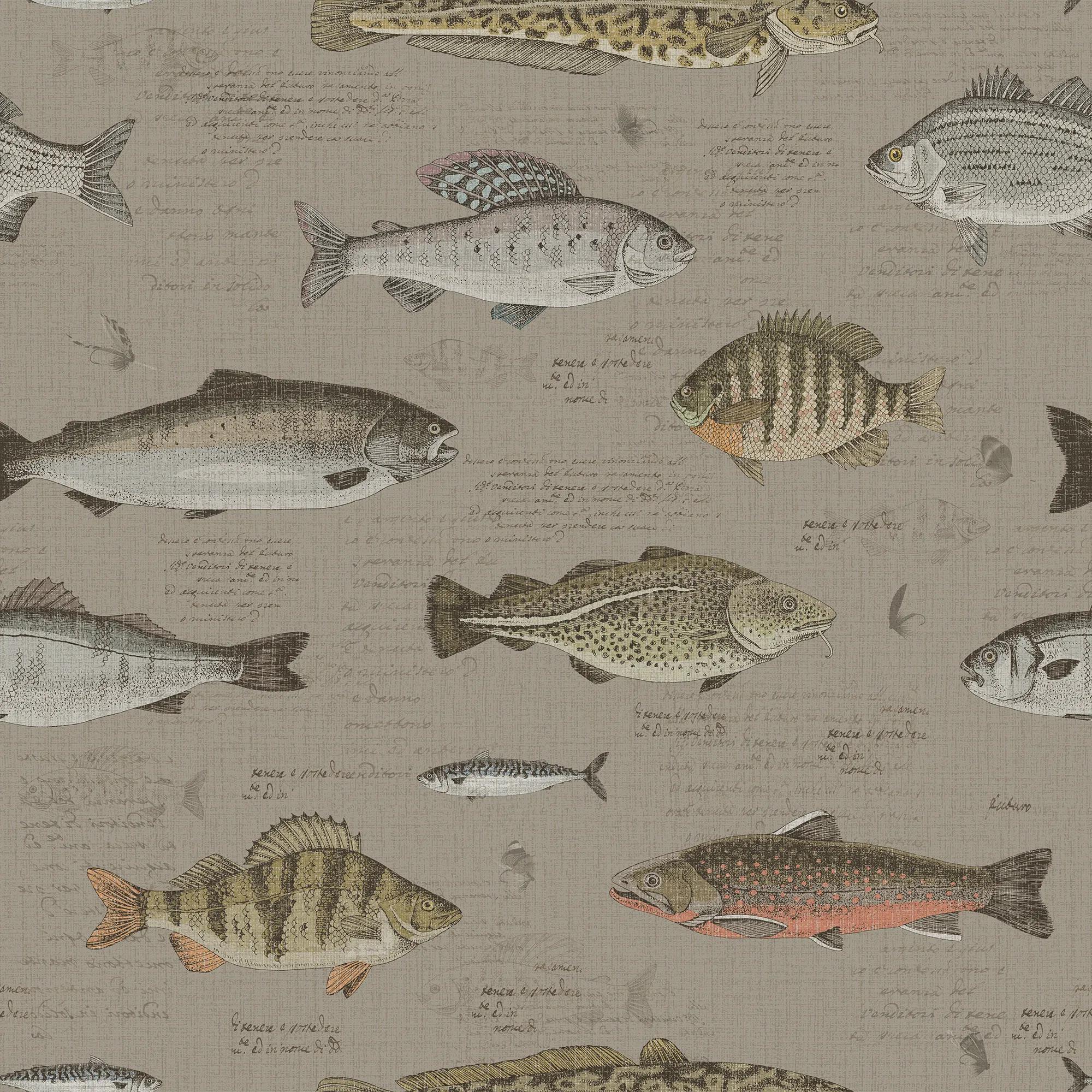 Wallpaper pattern of various fish illustrations on a green background.