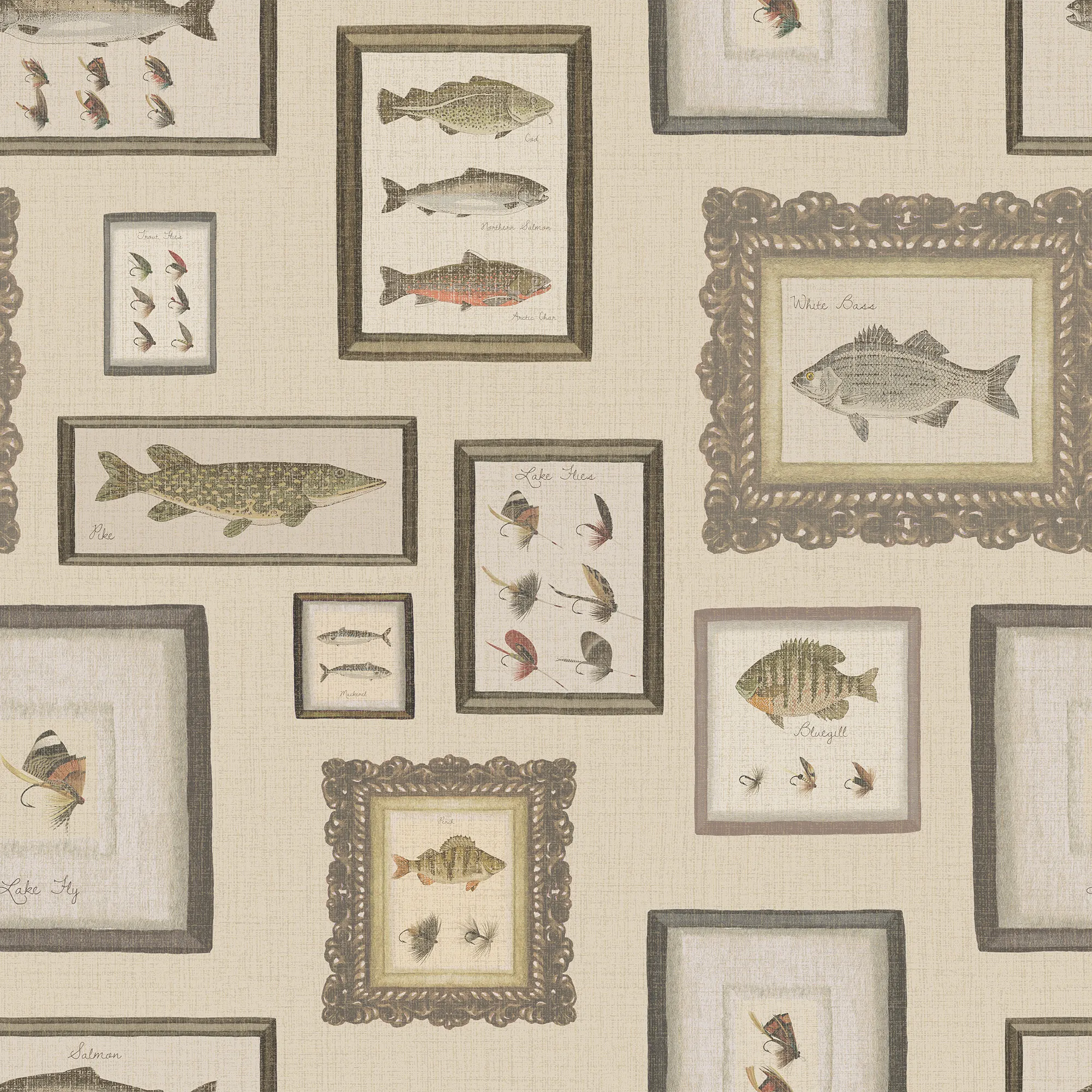 Wallpaper pattern with framed illustrations of fish on a cream background.