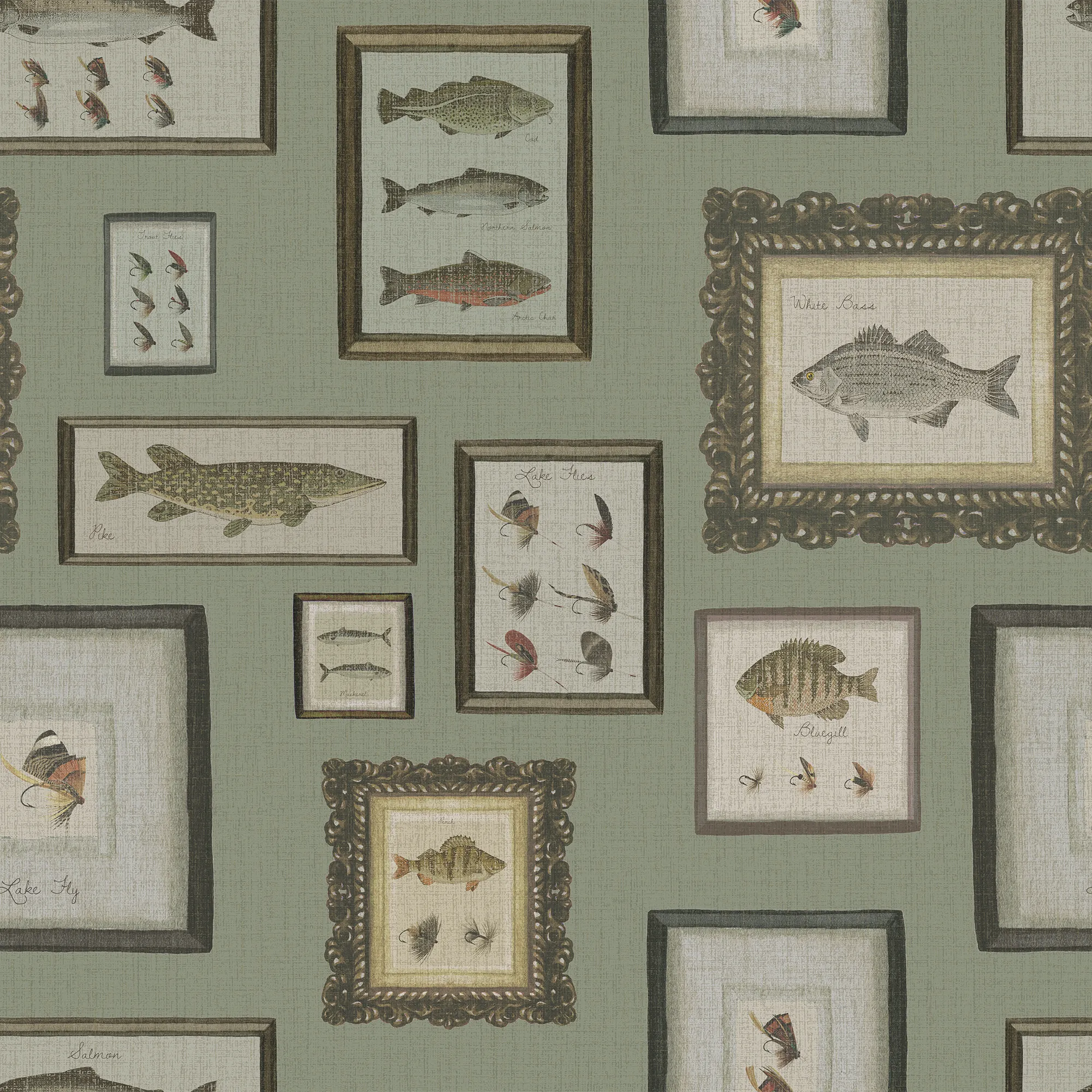 Wallpaper with framed illustrations of fish on a green background.