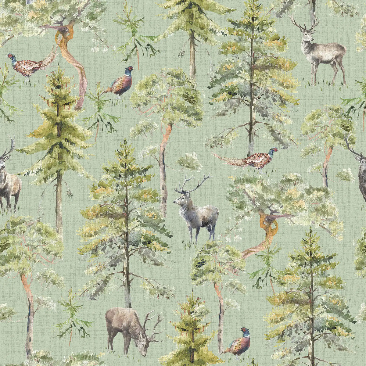 Gamekeeper's Morning Wallpaper in Sage